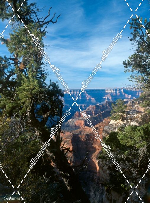 E- Grand Canyon