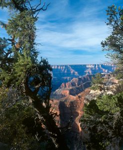 E- Grand Canyon