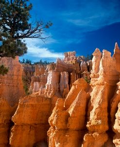 F- Bryce Canyon
