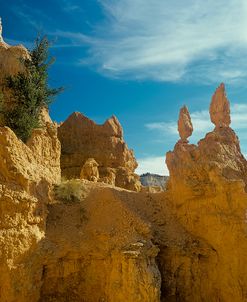 L- Bryce Canyon