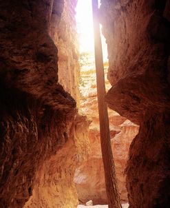 M- Bryce Canyon