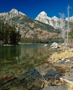 M- Teton