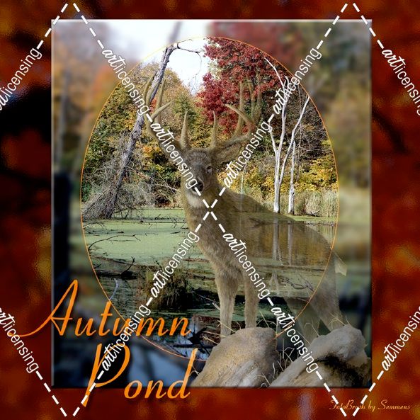 Autumn Pond-4