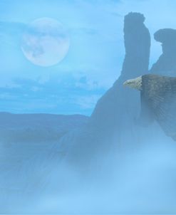 Still Of The Night