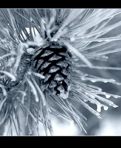 Ice Pine Cone 2