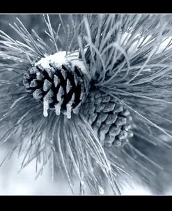 Ice Pine Cone 3