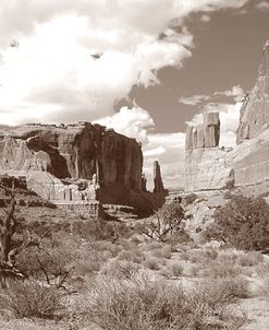 Sepia Arches 4