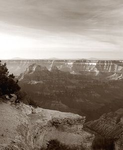 Sepia Grand Canyon