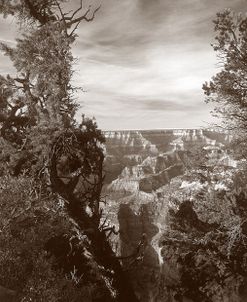 Sepia Grand Canyon 2