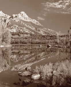 Sepia Teton 1