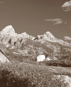 Sepia Teton 2