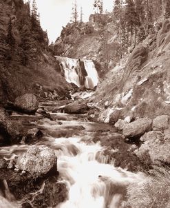 Sepia Yellowstone