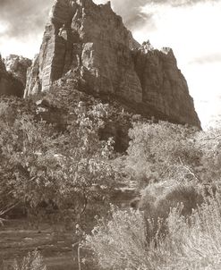 Sepia Zion 1