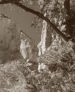 Sepia Zion 2