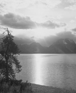 Teton 7