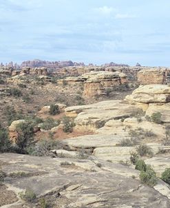 Canyonland 18