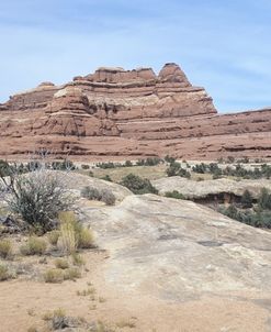 Canyonland 21