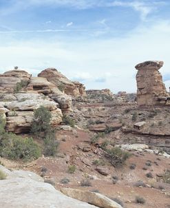 Canyonland 05