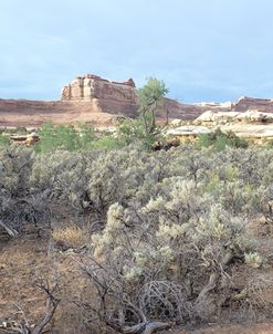 Canyonland 16