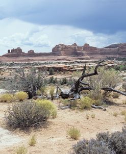 Canyonland 07