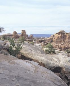 Canyonland 11