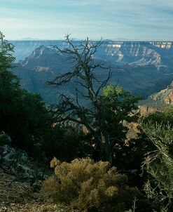 Grand Canyon 03