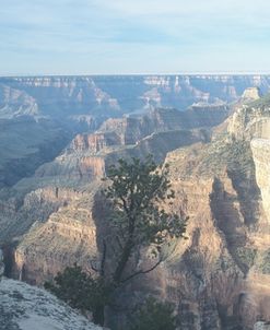Grand Canyon 05