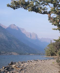 Glacier National Park 12