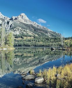 Grand Teton 09