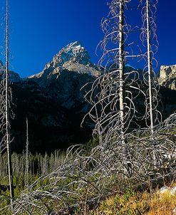 Grand Teton 08