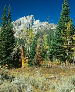 Grand Teton 11