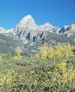 Grand Teton 15