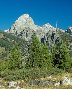 Grand Teton 13