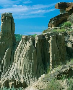 Theodore Roosevelt National Park14