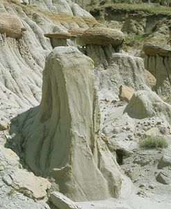 Theodore Roosevelt National Park25