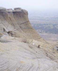 Theodore Roosevelt National Park36