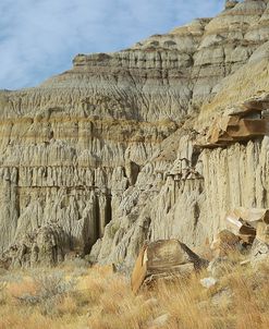 Theodore Roosevelt National Park15