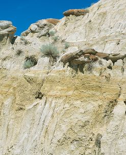 Theodore Roosevelt National Park16