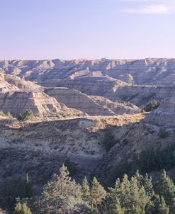 Theodore Roosevelt National Park52