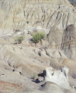 Theodore Roosevelt National Park29