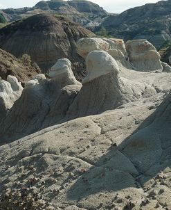 Theodore Roosevelt National Park21