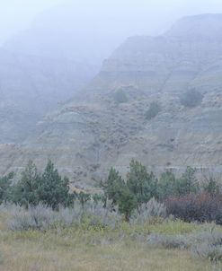 Theodore Roosevelt National Park10