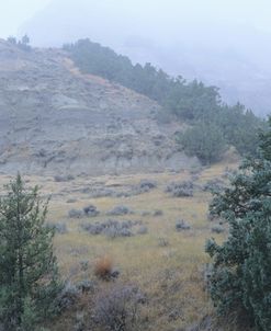 Theodore Roosevelt National Park11