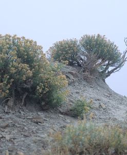 Theodore Roosevelt National Park34