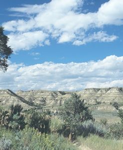 Theodore Roosevelt National Park09