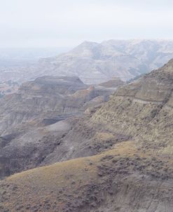 Theodore Roosevelt National Park39