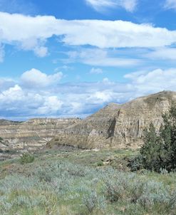 Theodore Roosevelt National Park04