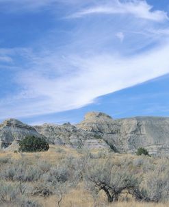 Theodore Roosevelt National Park46