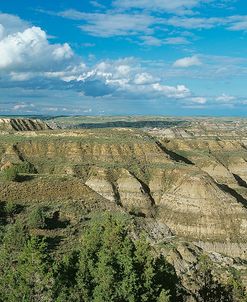 Theodore Roosevelt National Park07