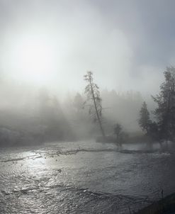 Yellowstone 05